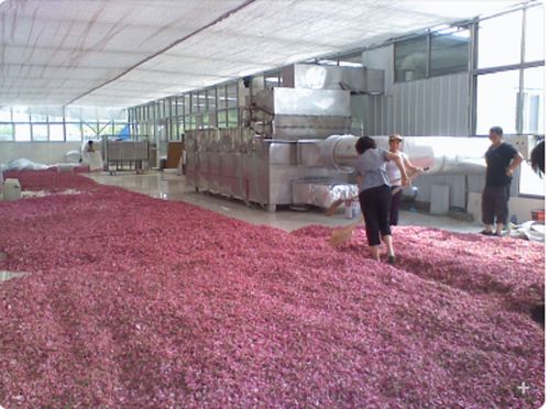 山東組合式冷凝液回收烘干設(shè)備報(bào)價(jià)